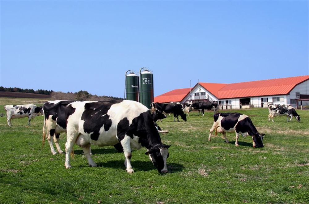 マザー牧場まで車で約30分