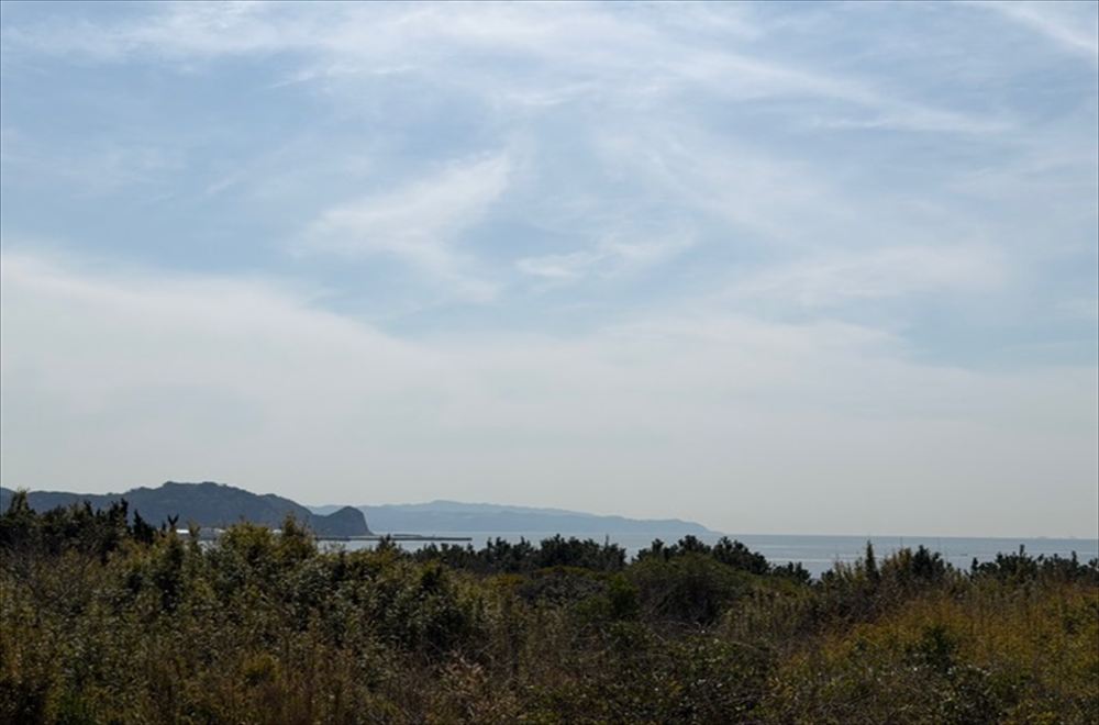 展望台からの景色（海岸側）