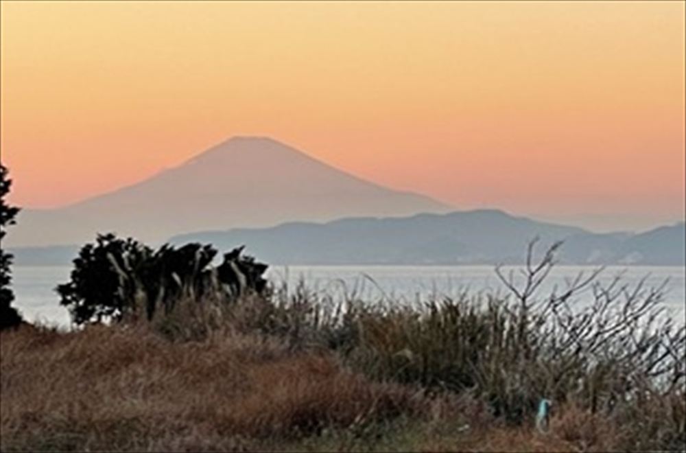 敷地から見えた富士山