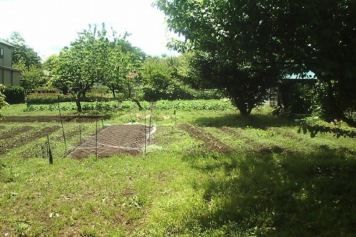 都会の喧騒を離れ緑ある休息地