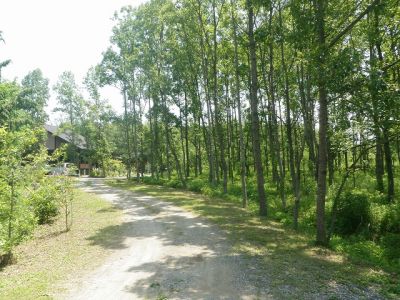 まるで軽井沢!?